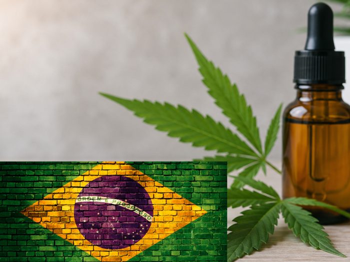 Mercado de cannabis medicinal já soma R$ 481,6 milhões