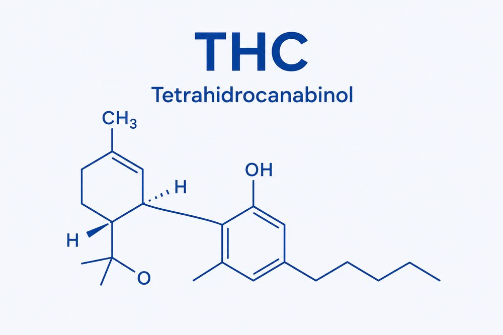 Estrutura molecular do THC (Tetrahidrocanabinol)